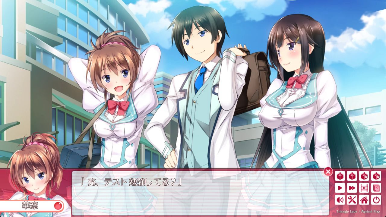 Triangle Love -애프리콧 피즈-