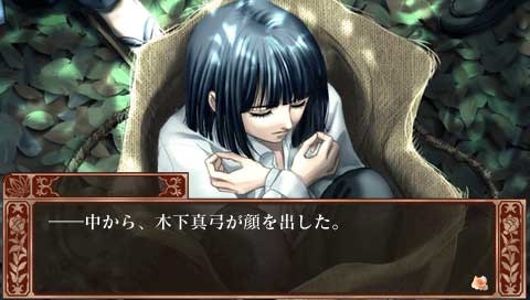 장미 나무에 장미 꽃 피고