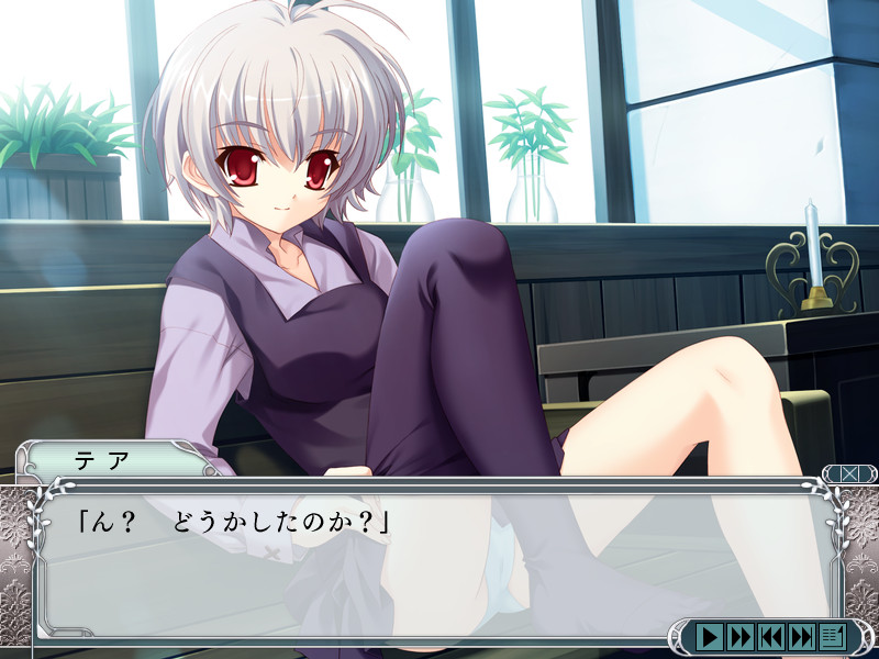 내 손안의 낙원