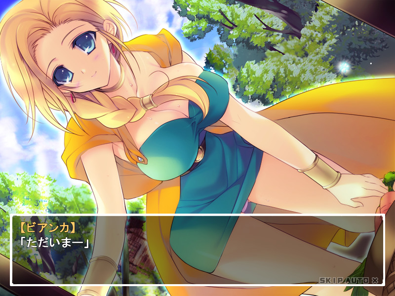 천공의 신부와 함께. -나는 아내에게, 두 번째 사랑을 했다-