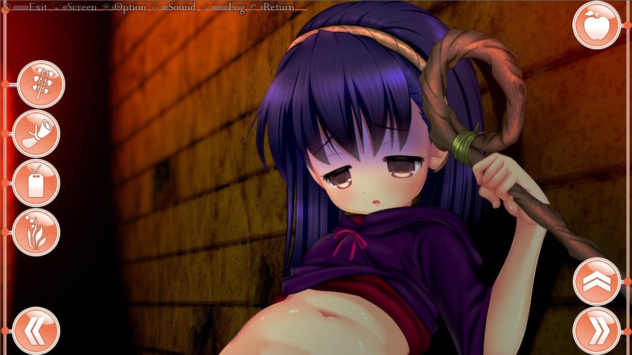 노간12 ～앨리스들의 질과 감촉～