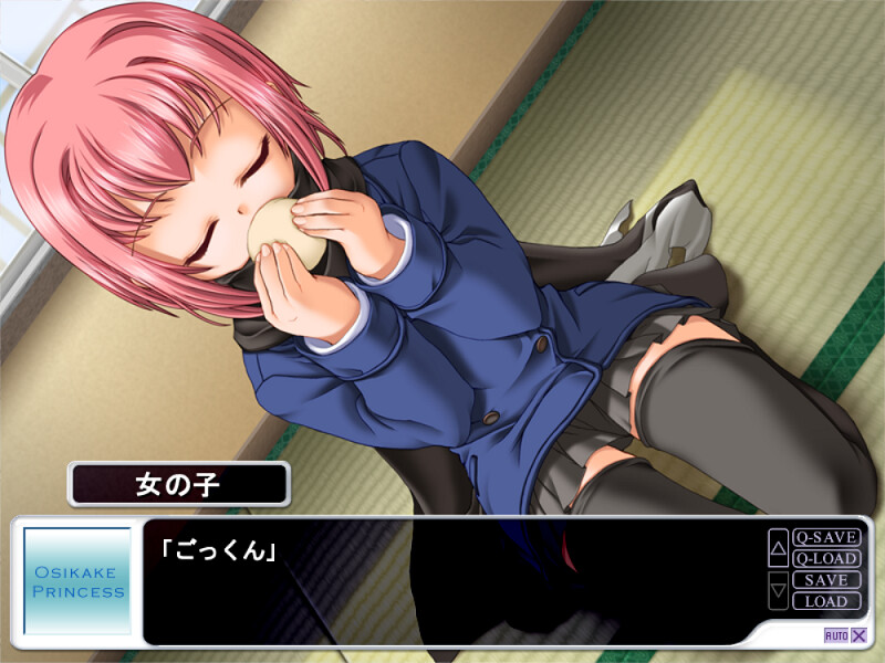 오시카케 프린세스