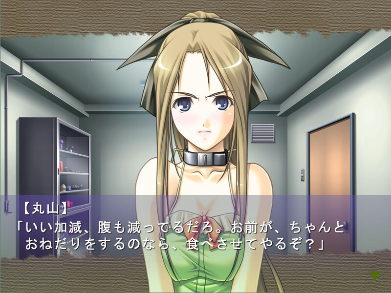 감금 아이돌 리사이틀～아이돌 능욕 일기～