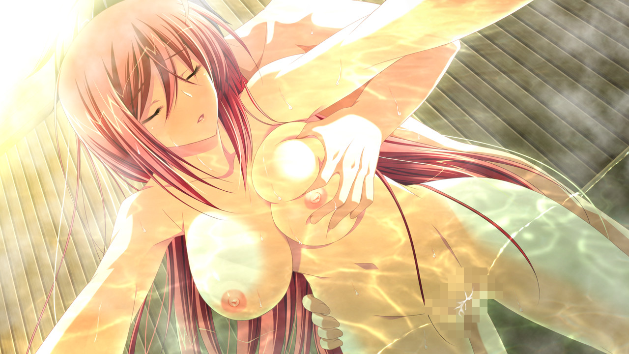 센고쿠히메3～천하를 가르는 빛과 그림자～