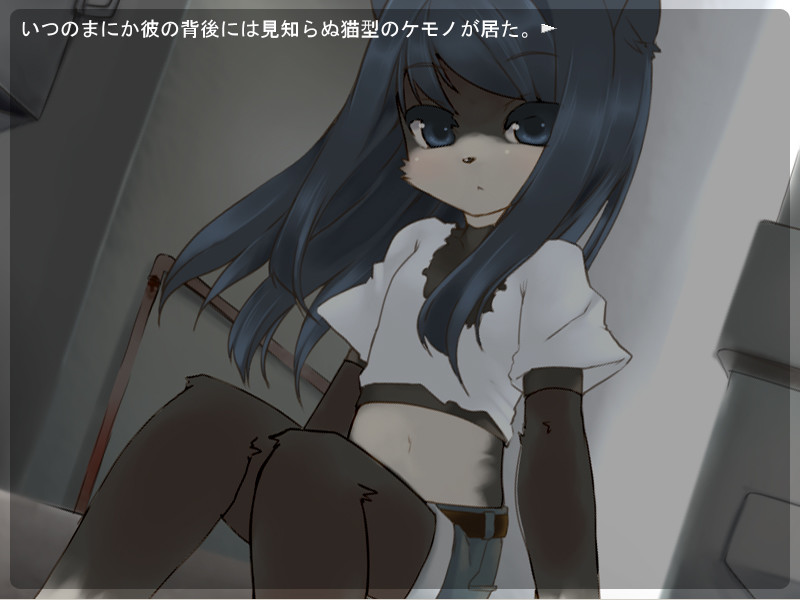 케모코~개·고양이·여우~