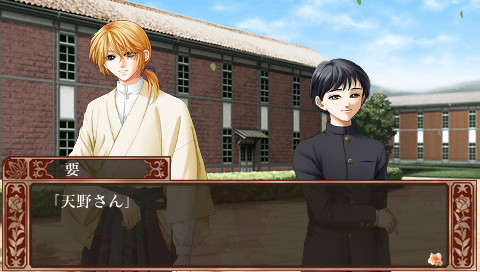 장미 나무에 장미 꽃 피고