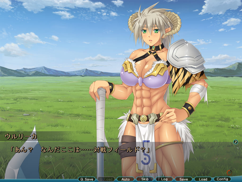 가・상・침・식～Virtual Hack Online～