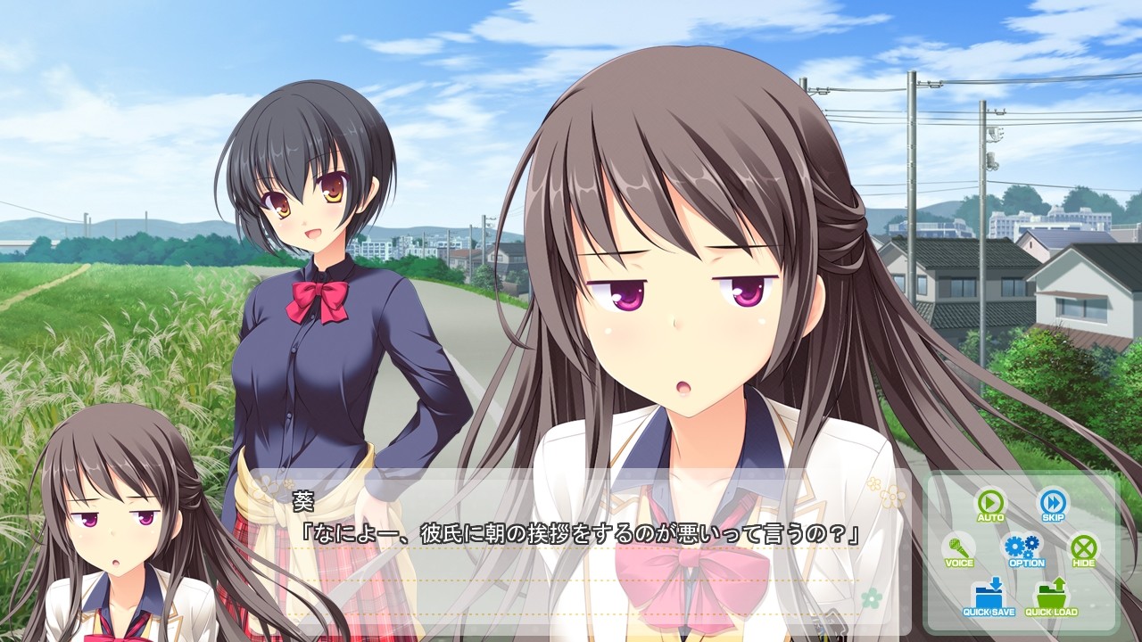 MeltyMoment 미니 팬 디스크