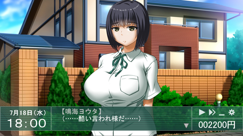 스쿨 메모리즈2 Irreversible