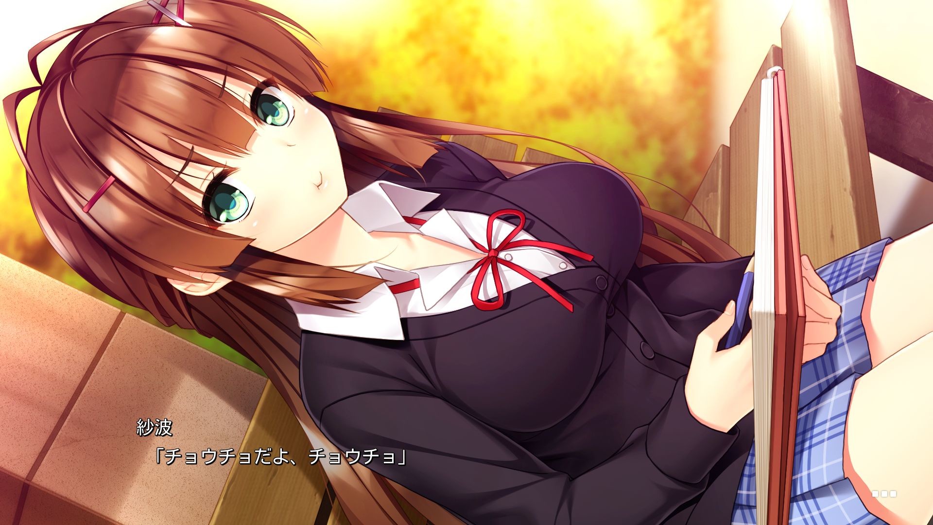 카미마치 사나짱