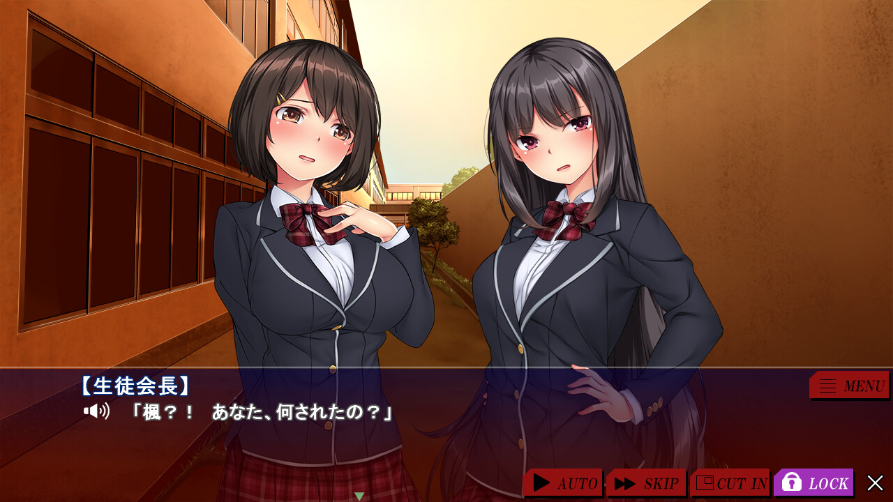 협박 우등생 자매 ～불량 그룹 집단 종부 타락～