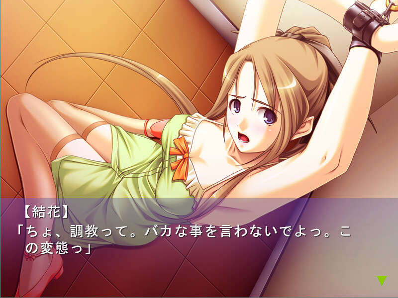 감금 아이돌 리사이틀～아이돌 능욕 일기～