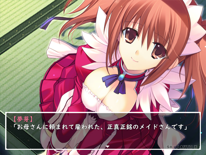 견습 메이드의 선물