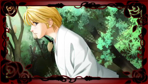 장미 나무에 장미 꽃 피고