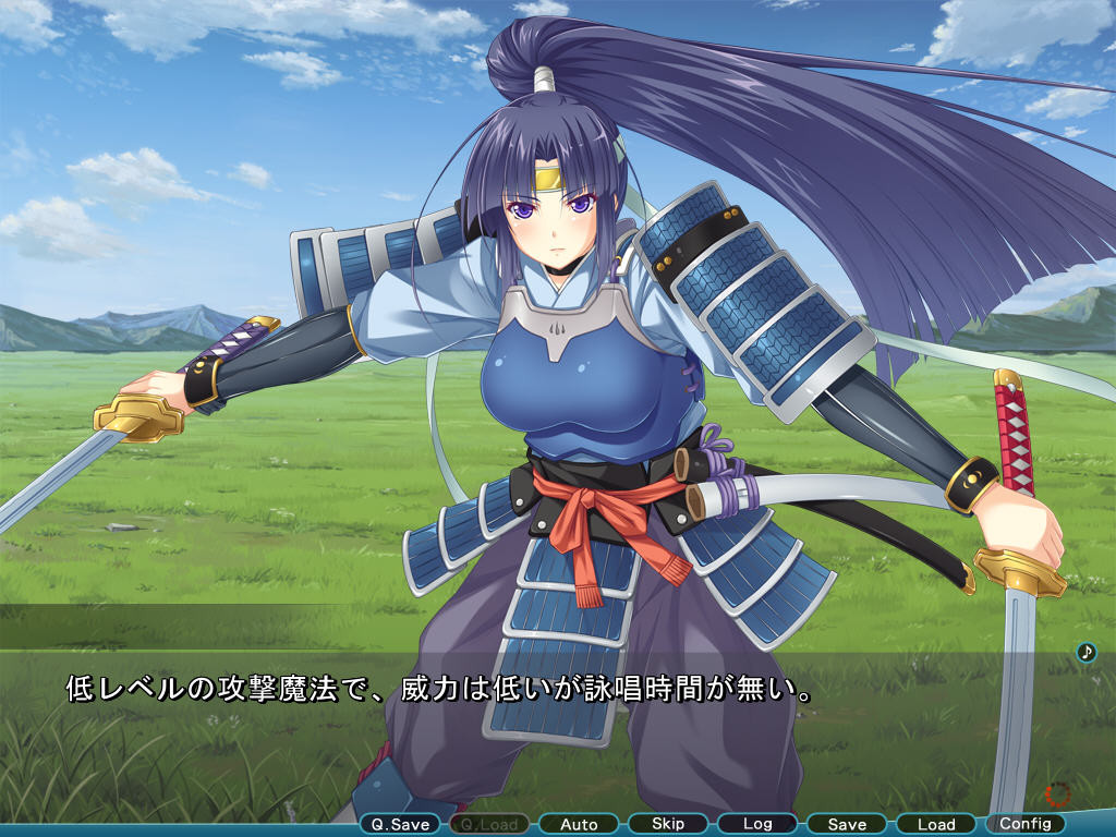 가・상・침・식～Virtual Hack Online～