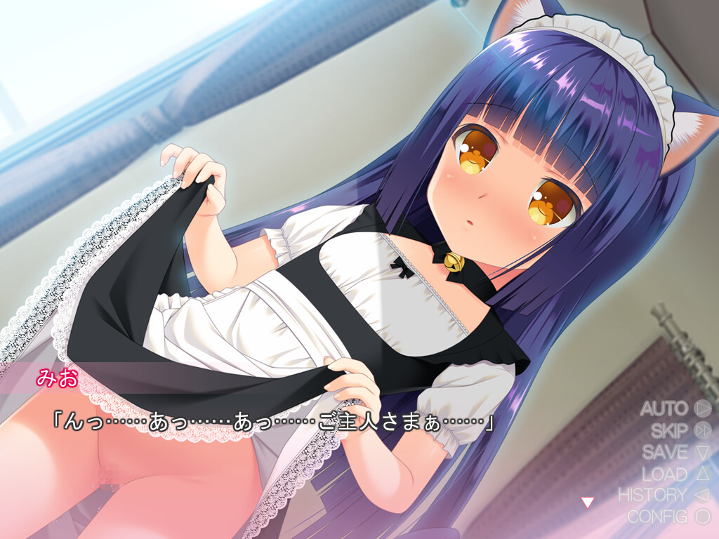 아기 고양이와 가족계획