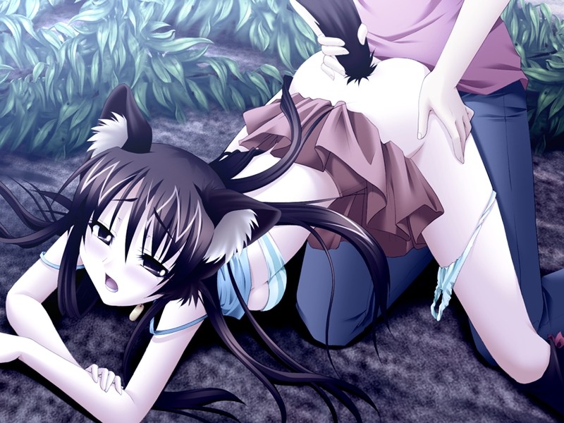 멍멍, 음메음메, 토끼토끼, 콩!