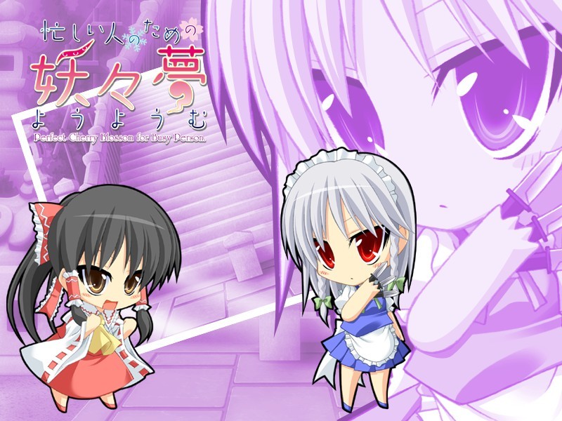 바쁜 사람을 위한 요요무