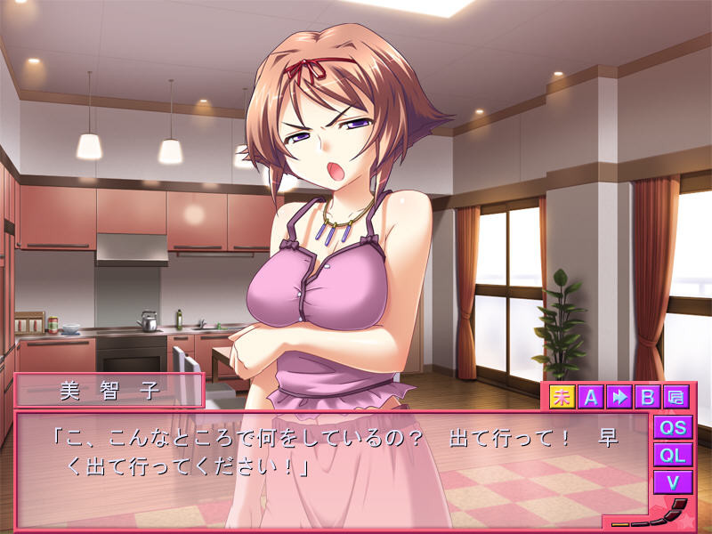 내 몸으로 갚겠어요～신츠마 미치코의 경우～