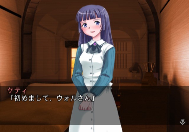 시로가네의 새장 The Angels with Strange Wings