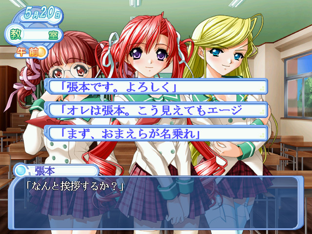 빅 매그넘·하리모토 선생