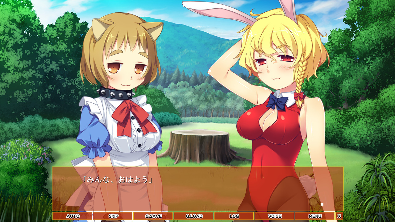 킨파쿠 타로 이야기