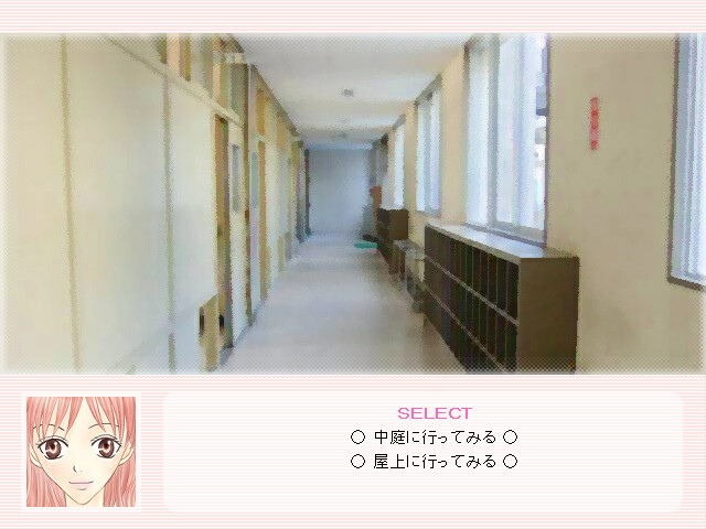 S・I・G・N・A・L