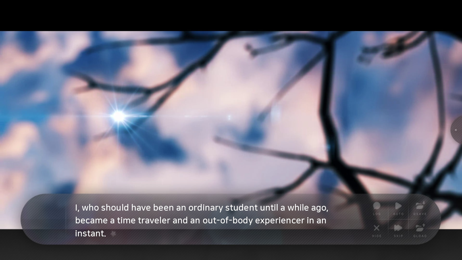 여름의 끝에 피는 꽃