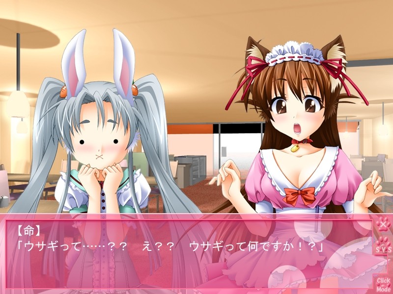 멍멍, 음메음메, 토끼토끼, 콩!