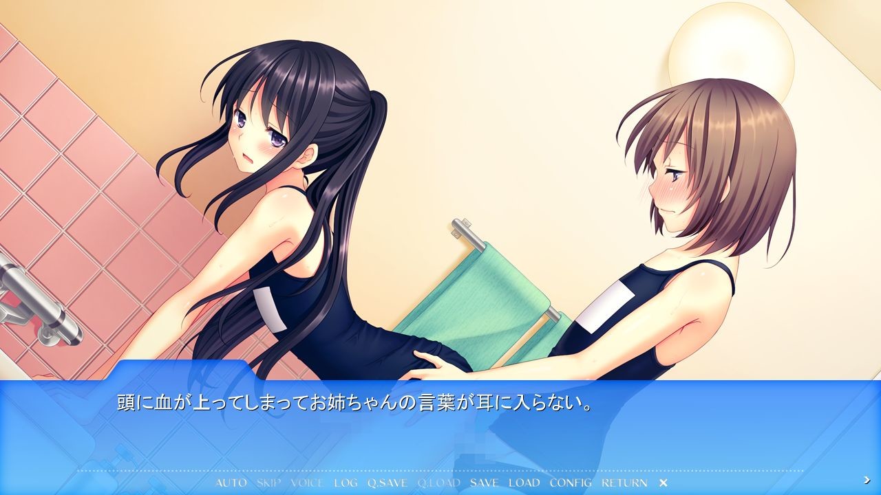 동경하던 누나가 오토코노코였습니다 ～여장남매의 생활 사정～