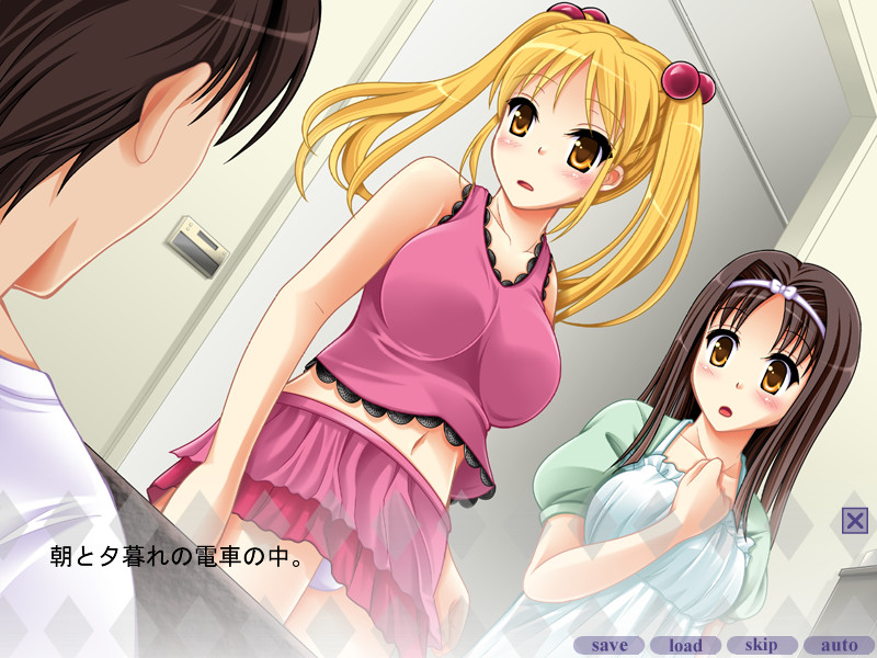 치칸 차량 ～음욕의 쌍둥이 상간편～