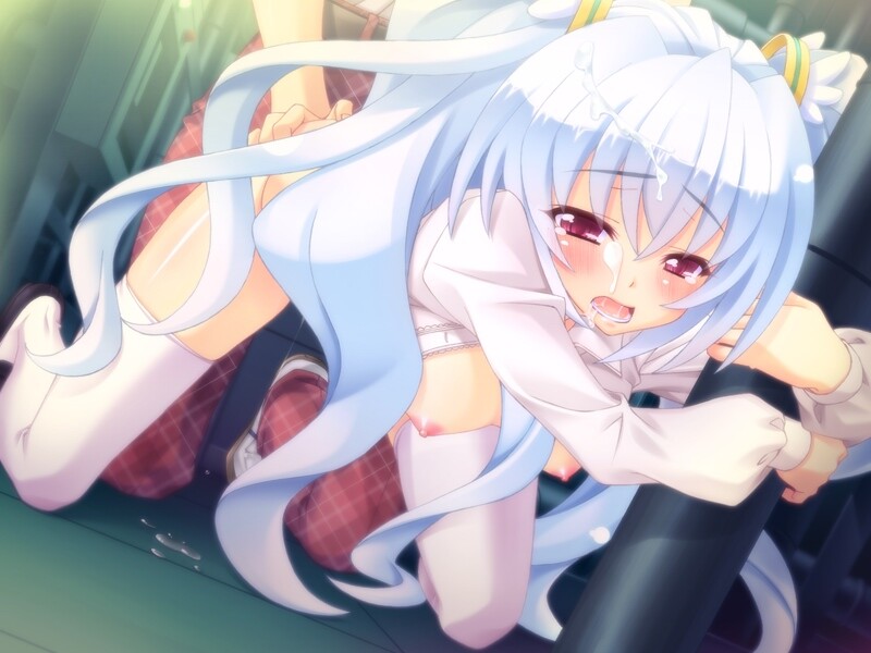 하늘의 빛은 사랑의 별