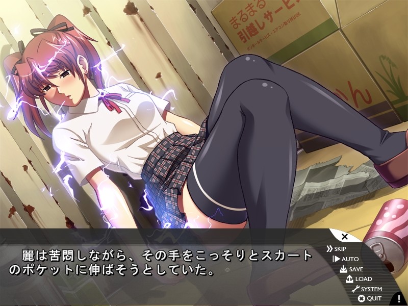 THE 강간 ~세 자매 감금 능욕~