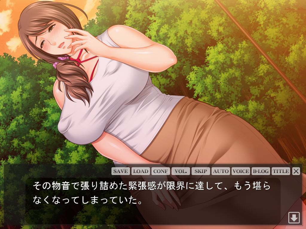 낮의 단치음처 ～남편에게는 말할 수 없는 비밀의 방문판매～