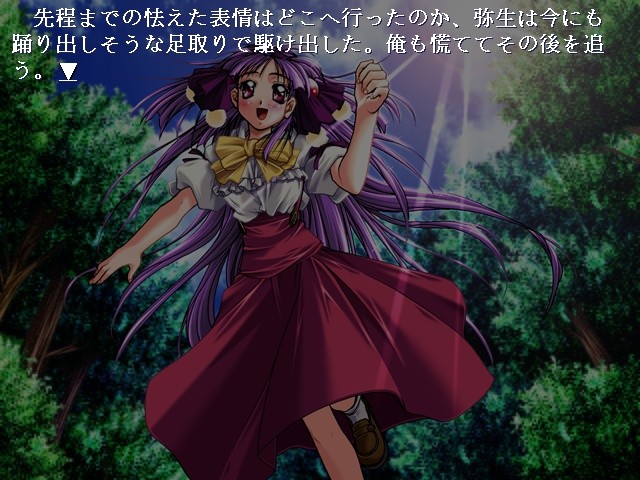 허상정원 ～소녀가 지는 곳～