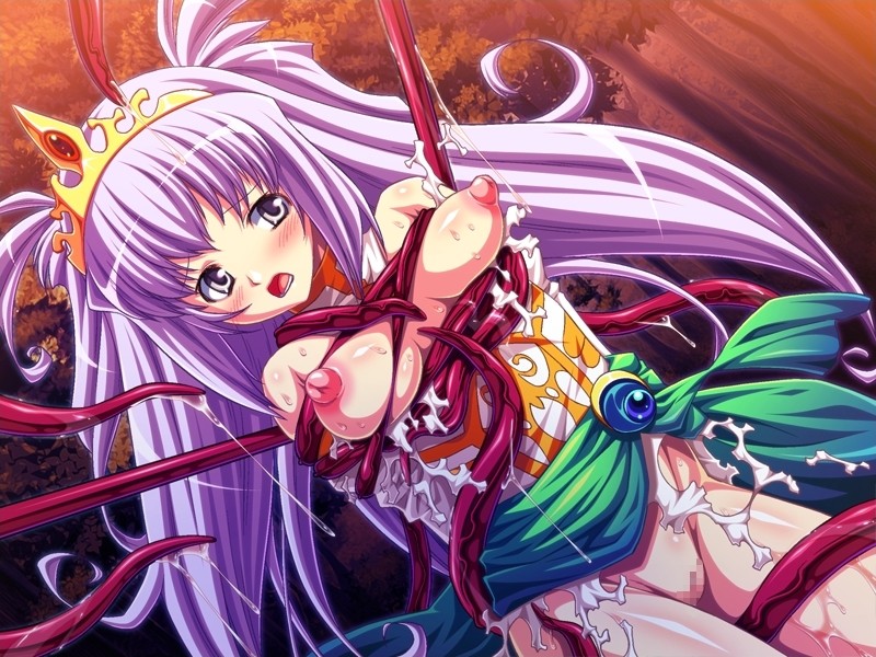 타락황녀 ～마술사의 덫에 빠진 성녀～