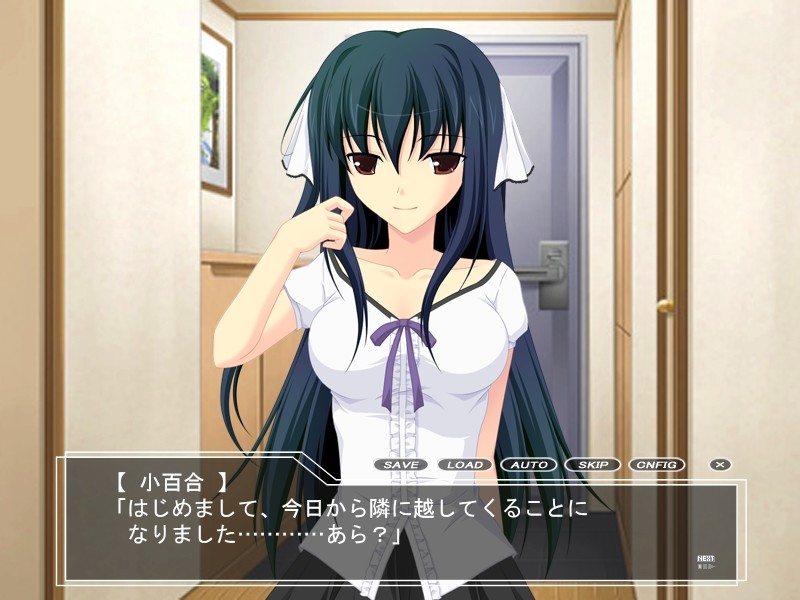 S한 아가씨와의 사는 법