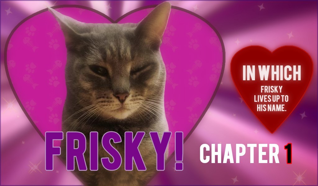 Cat President ~A More Purrfect Union~