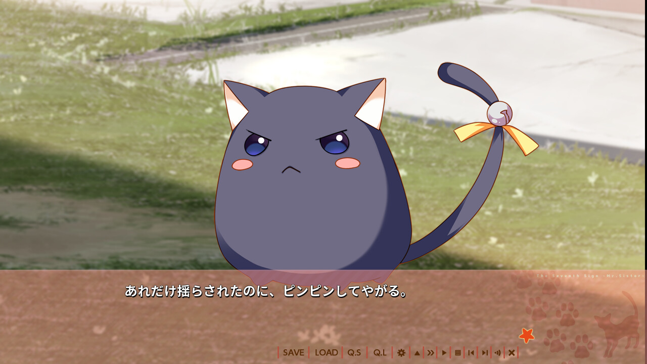 네코가미님과, 나나츠보시 -여동생의 언니-