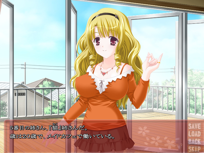 아네니모마케즈 ～언니들은 자극적!～