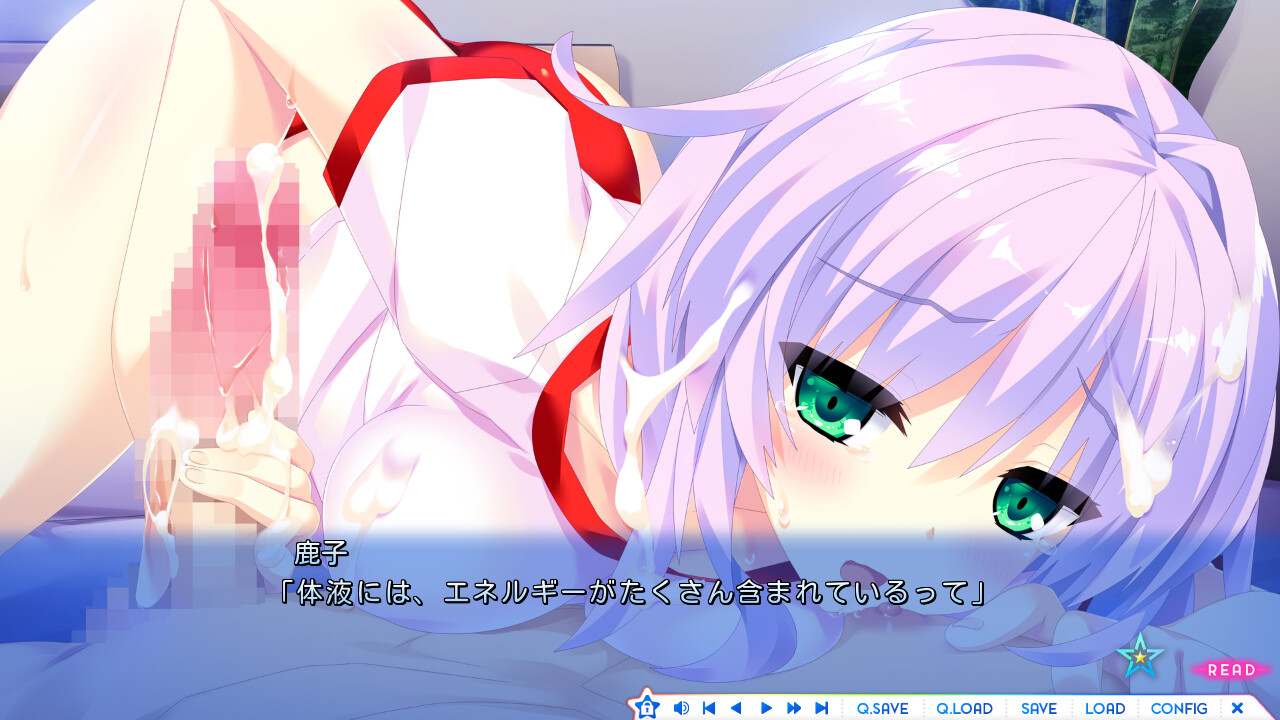 슈쿠세이의 걸프렌드 3 -the destiny star of girlfriend-