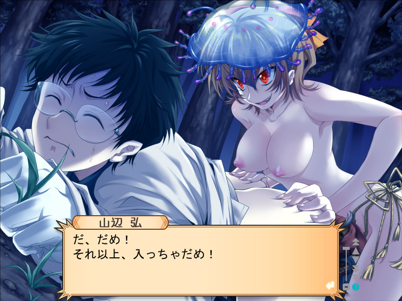 하치포치 -Liar＆raiL FanDisk-