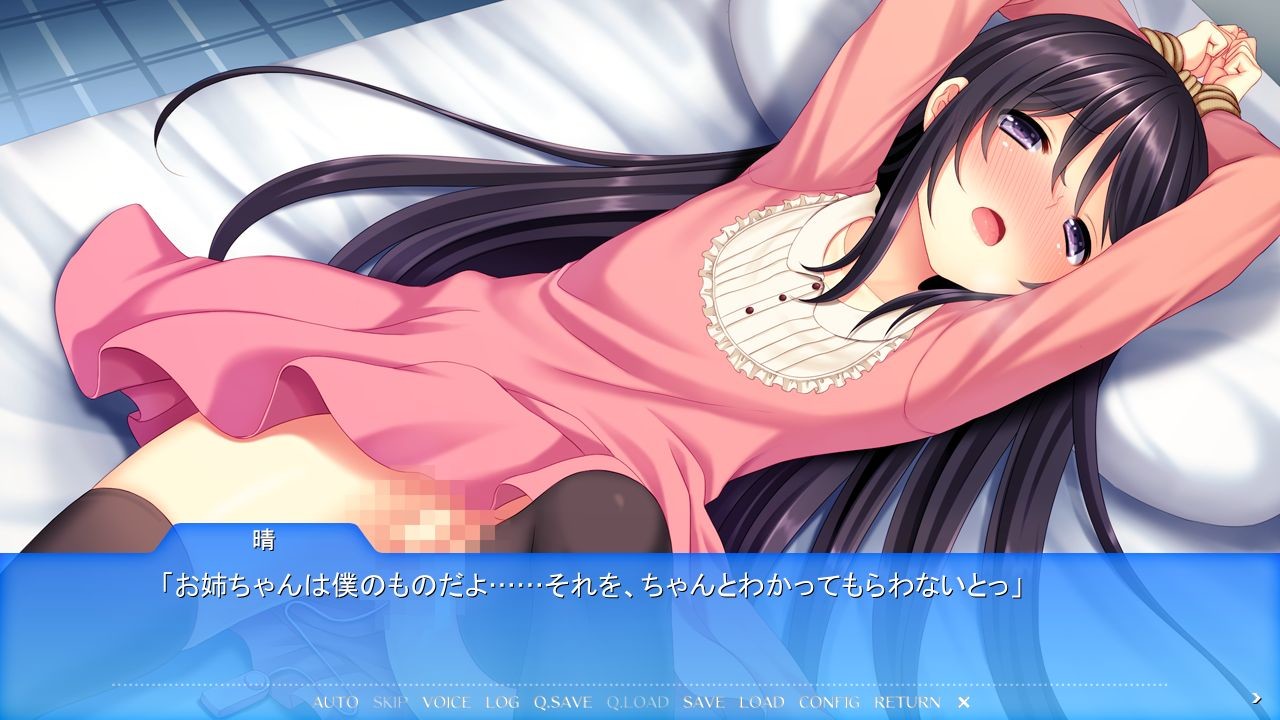 동경하던 누나가 오토코노코였습니다 ～여장남매의 생활 사정～