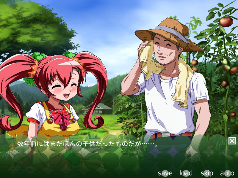 카테사이의 토마토 밭 -정액재배-