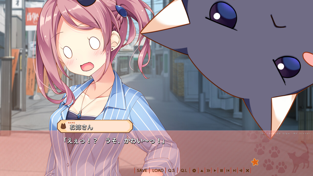 네코가미님과, 나나츠보시 -여동생의 언니-