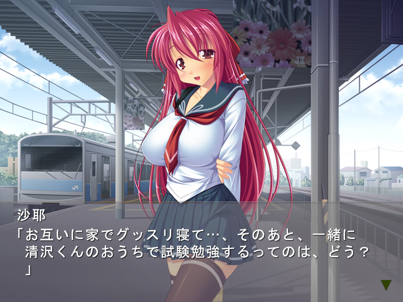 도키도키 치한전차 ~보쿠와 그녀의 비밀스러운 관계~