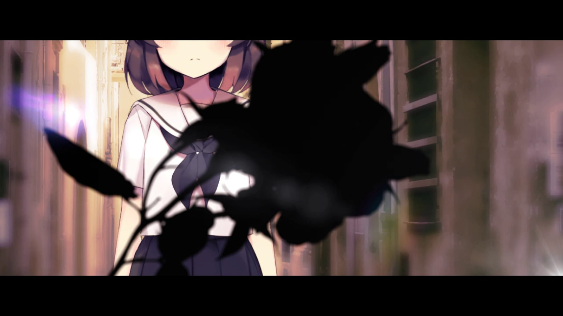 여름의 끝에 피는 꽃