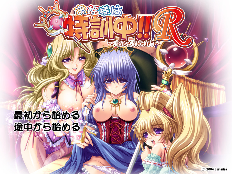 오히메사마는 특훈 중!! ～성스러운 마법 수행～