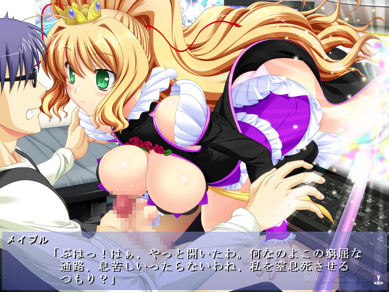 망상 프로토콜! -히메×무녀×로보-