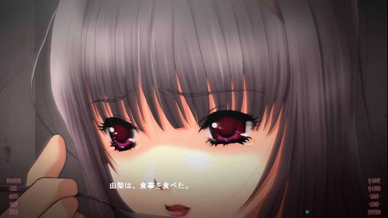 음로일기 ～소녀는 어떻게 망가졌는가～